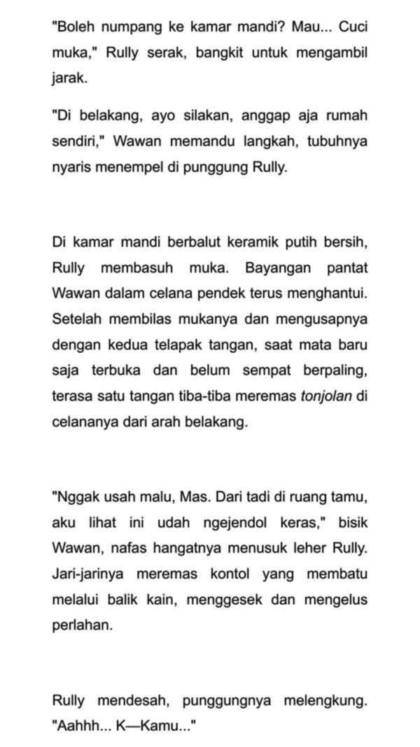 D2B: Dua Duda, Satu Brondong - Gambar 3