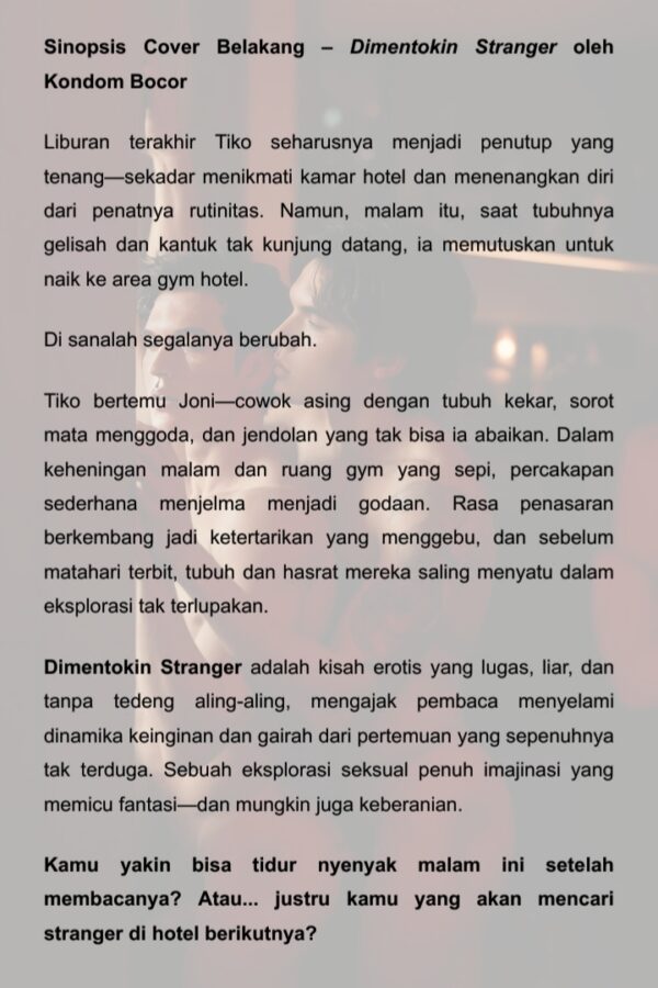 Dimentokin Stranger - Gambar 2