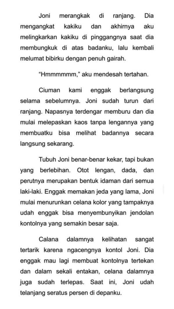 Dimentokin Stranger - Gambar 3