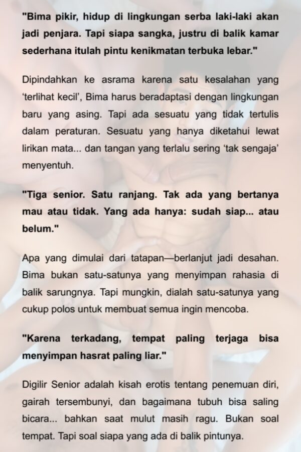 Digilir Senior - Gambar 2