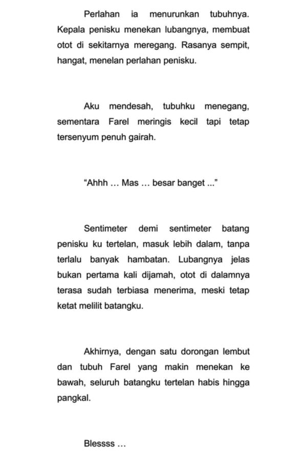 Istriku Bukan Wanita - Gambar 3